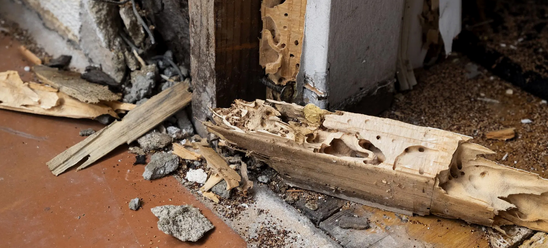 damage-image